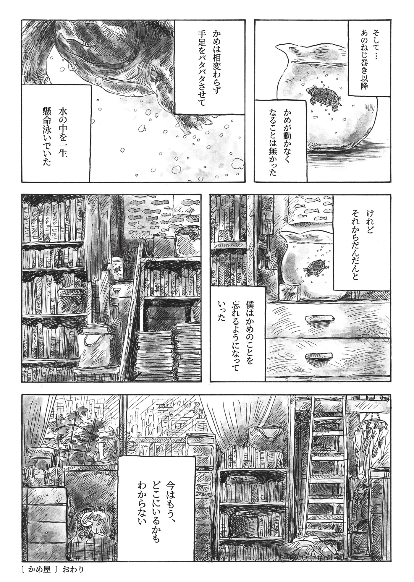 page5の写真